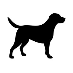 Dog: The Loyal Companion and Beloved Pet