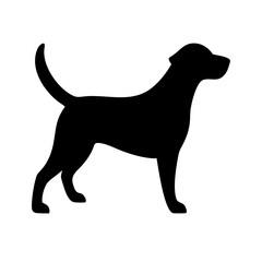 Dog: The Loyal Companion and Beloved Pet