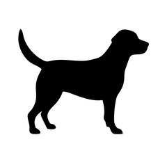 Dog: The Loyal Companion and Beloved Pet