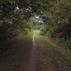 Obraz premium Dirt country road for walking