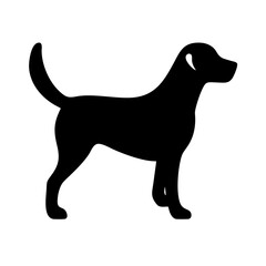 Dog: The Loyal Companion and Beloved Pet