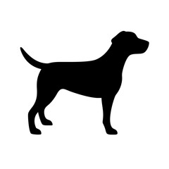 Dog: The Loyal Companion and Beloved Pet