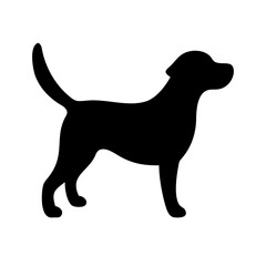 Dog: The Loyal Companion and Beloved Pet