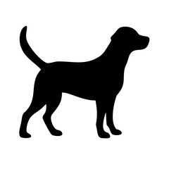 Dog: The Loyal Companion and Beloved Pet