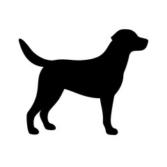 Dog: The Loyal Companion and Beloved Pet