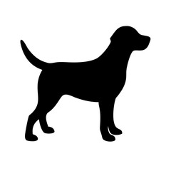 Dog: The Loyal Companion and Beloved Pet