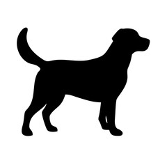 Dog: The Loyal Companion and Beloved Pet