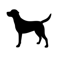 Dog: The Loyal Companion and Beloved Pet