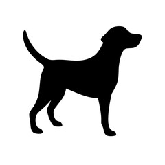 Dog: The Loyal Companion and Beloved Pet