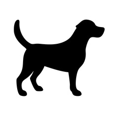 Dog: The Loyal Companion and Beloved Pet