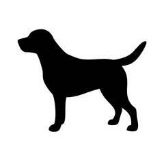 Dog: The Loyal Companion and Beloved Pet