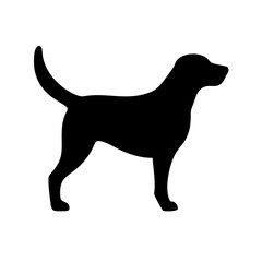 Dog: The Loyal Companion and Beloved Pet