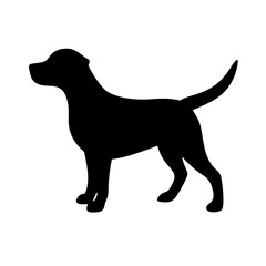 Dog: The Loyal Companion and Beloved Pet