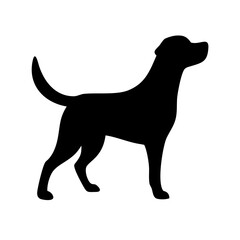 Dog: The Loyal Companion and Beloved Pet