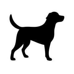 Dog: The Loyal Companion and Beloved Pet