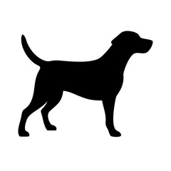 Dog: The Loyal Companion and Beloved Pet