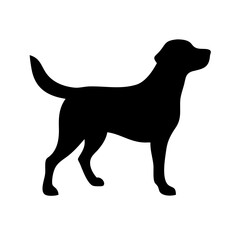 Dog: The Loyal Companion and Beloved Pet