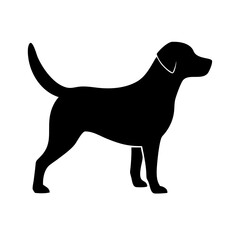 Dog: The Loyal Companion and Beloved Pet