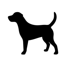 Dog: The Loyal Companion and Beloved Pet