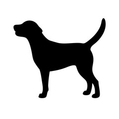 Dog: The Loyal Companion and Beloved Pet