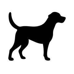 Dog: The Loyal Companion and Beloved Pet