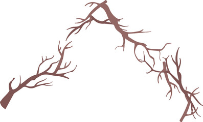 Bare Tree Branches Angle Frame