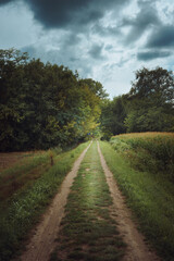 Dirt country road for walking