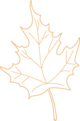 Maple Leaf Sketch