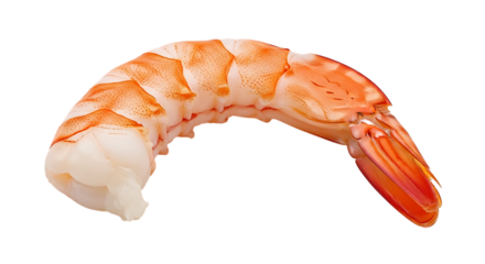 A cooked and peeled shrimp isolated on transparent background, showcasing its texture, color, and shape, perfect for illustrating culinary or nutritional content