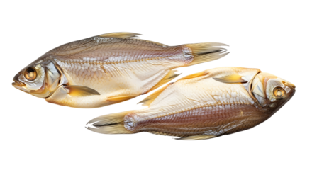 Two dried roach fish isolated on transparent background, showcasing their texture, shape, and color, perfect for illustrating culinary or nutritional content about seafood