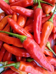 ghost pepper on white. hot red chili for background