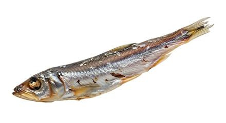 Isolated on transparent background, a smoked baltic sprat with a shiny silver texture, showcasing a traditional european seafood delicacy in a studio shot