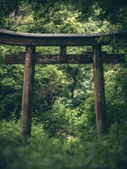 Aged wooden torii gate in lush forest.