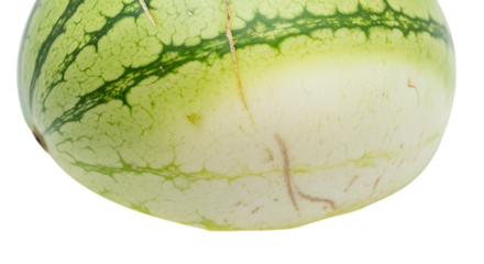 A closeup of a fresh watermelon isolated on transparent background, showcasing its vibrant green rind and juicy interior, a perfect symbol of summers refreshing sweetness