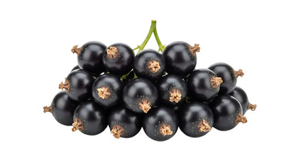 Fototapeta premium A pile of blackcurrants isolated on transparent background, a healthy and sweet fruit, full of vitamins and antioxidants, perfect for a dessert or a snack in autumn and fall