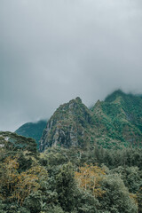 Dramatic mountain peak covered in lush tropical vegetation on Moorea Island, French Polynesia under cloudy skies.