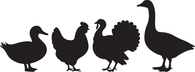 Obraz premium Black silhouettes of a duck chicken turkey and goose standing in a row vector
