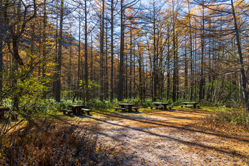 日本の風景　長野　晩秋の上高地　