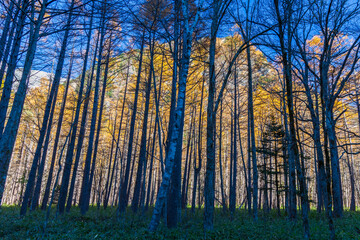 日本の風景　長野　晩秋の上高地　