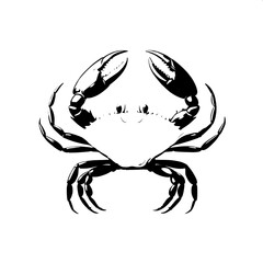 vector illustration of a crab