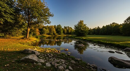 Fototapeta premium a river with rocks in the water and trees in the background