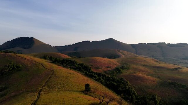 Hills with soft grass and tree clusters stretch across Chyulu Hills under early daylight