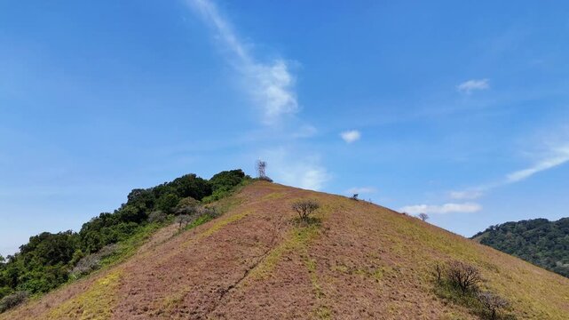 Steep grassy hillside with sparse shrubs beneath a bright blue sky in Chyulu Hills National Park