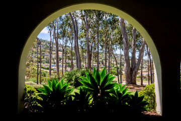 Back lit plants illuminated greenery under arched walkway