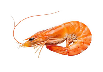 Photo of cooked orange shrimp isolated on transparent background, close up view