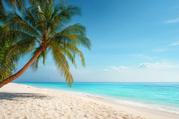Obraz premium breathtaking summer landscape depicting tropical island with single palm tree and powdery white sand