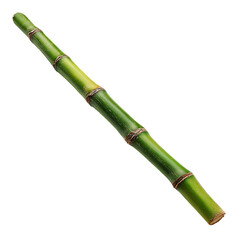Fototapeta premium A single green bamboo stalk showing its nodes and natural texture