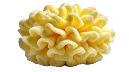Golden Sponge: An inviting image of a captivating golden sponge, Its textured surface offers an organic aesthetic