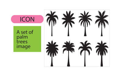 A set of palm tree image