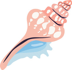 Vector illustration of a seashell. Isolate on a transparent background. Element for print, banner, flyers, brochures, stickers, media